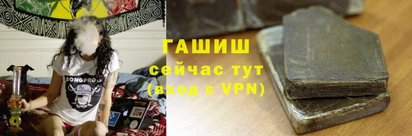 стаф Тайга
