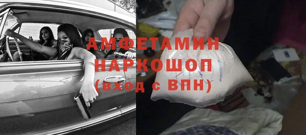 стаф Тайга