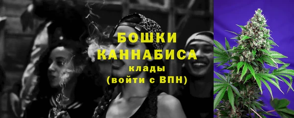 твердый Тавда