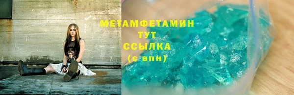 стаф Тайга