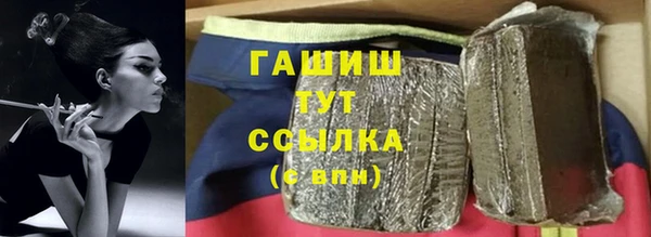 стаф Тайга