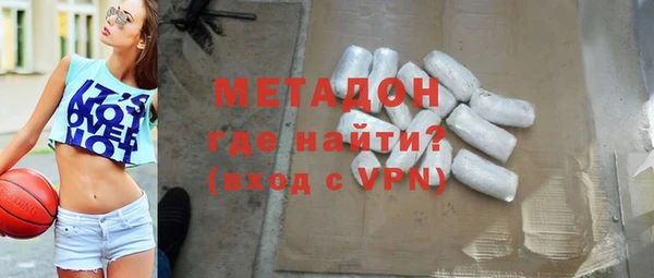 стаф Тайга