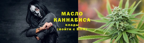 твердый Тавда
