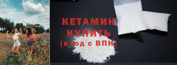стаф Тайга