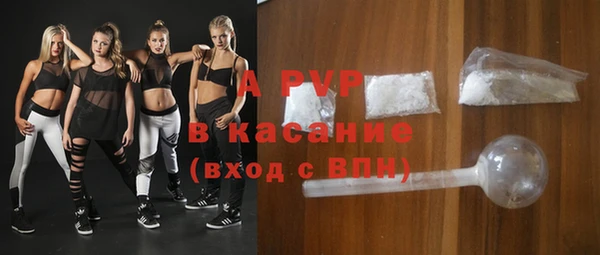 стаф Тайга