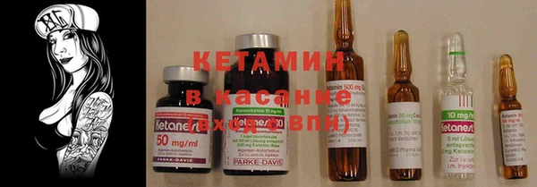 стаф Тайга