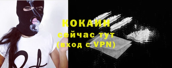 дмт Сясьстрой