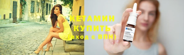 стаф Тайга