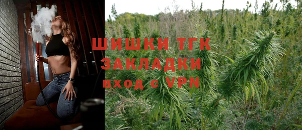 дмт Сясьстрой