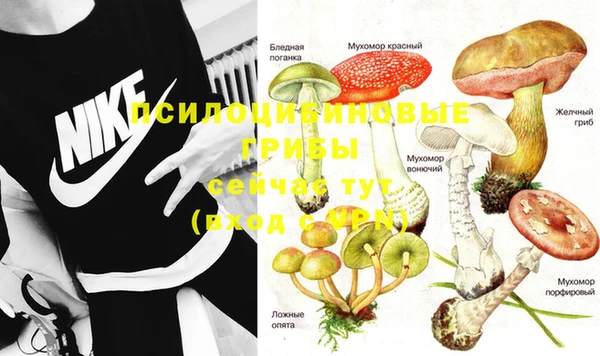 дмт Сясьстрой