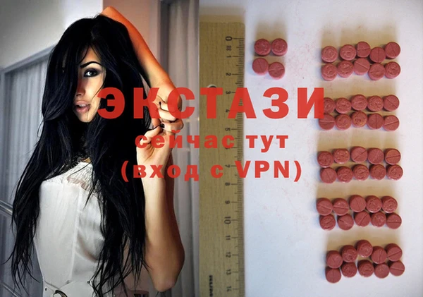 стаф Тайга