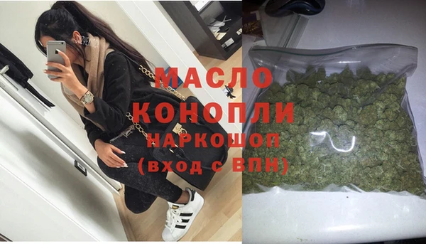 стаф Тайга