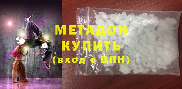 стаф Тайга