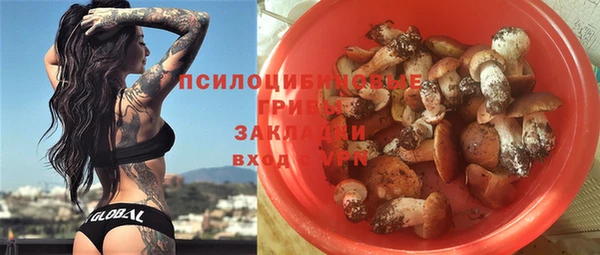 а пвп мука Бородино