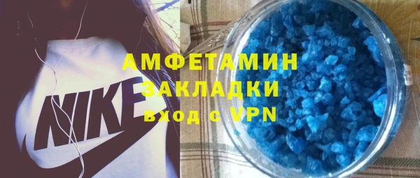 стаф Тайга