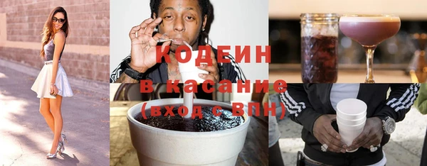 стаф Тайга